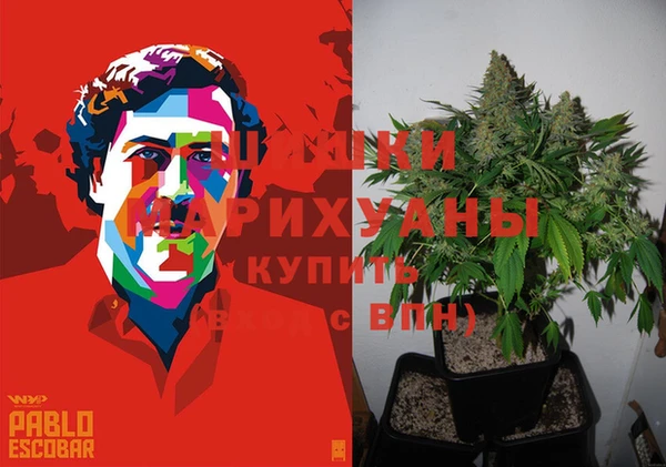 дживик Нязепетровск