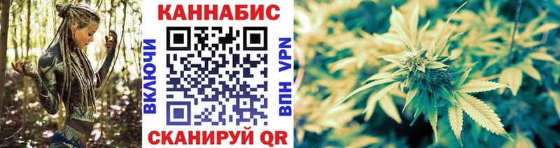 Канабис индика  Новотитаровская 
